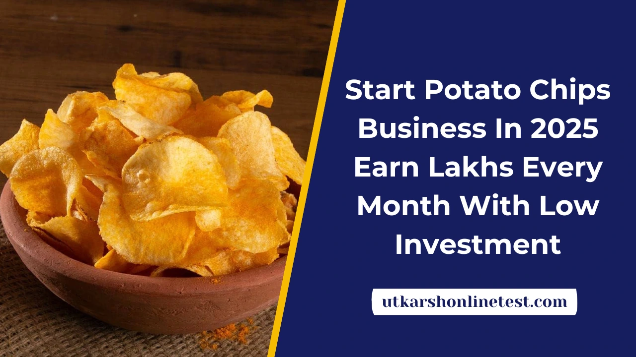 Start Potato Chips Business In 2025: Earn Lakhs Every Month With Low Investment