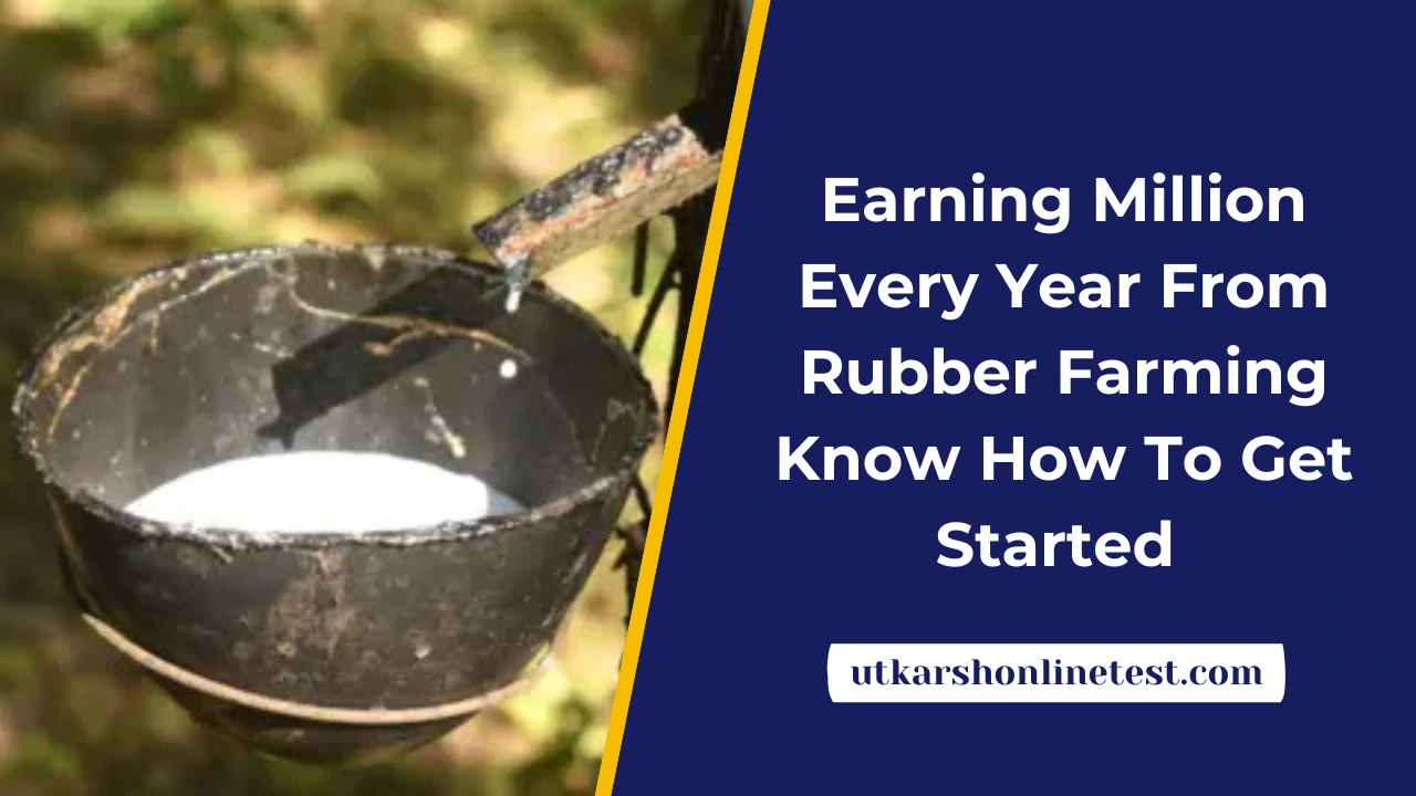 Earning Million Every Year From Rubber Farming: Know How To Get Started